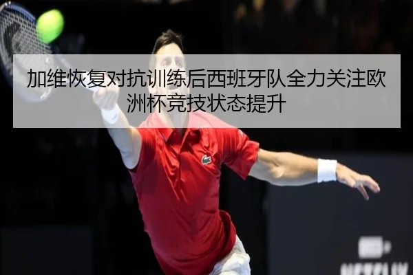加维恢复对抗训练后西班牙队全力关注欧洲杯竞技状态提升
